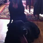 Dogs