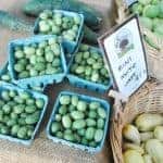 farmersmarket5