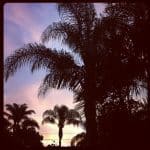 photo (1)