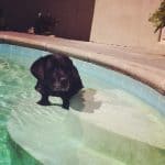 photo (5)