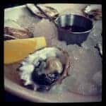 oyster