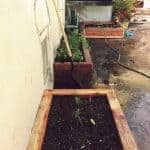 garden13