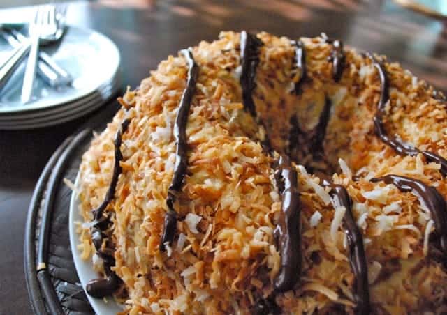 toasted coconut drizzled with chocolate