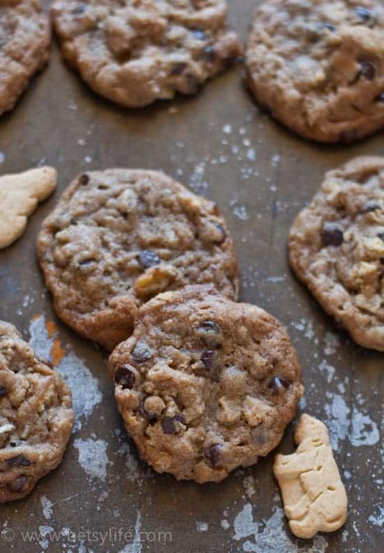 close up of cookies on a baking sheet 