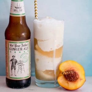 Hard Ginger Ale Ice Cream Floats